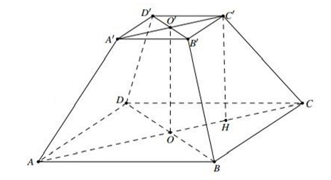 Hình minh họa câu hỏi